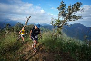 BIB: 
                            <button type="button" onclick="openModal(22373269)" class="btn btn-primary btn-sm float-right btn-popup" data-toggle="modal" data-target=".modal-high-quality">
                        <i class="fas fa-shopping-cart"></i> Add to Cart
                    </button>
                                            <button type="button" onclick="isThisMe(22373269, true)" class="btn btn-success btn-sm float-right btn-popup btn-isme hidden" data-toggle="tooltip" data-placement="bottom" title="นี่คือรูปของคุณใช่ไหม คลิกที่นี่เพื่อเอาเข้าอัลบั้ม">
                        <i class="fas fa-plus"></i> Add to album
                    </button>
                    <button type="button" onclick="isThisMe(22373269, false)" class="btn btn-warning btn-sm float-right btn-popup btn-isnotme hidden">
                        <i class="fas fa-ban"></i> Remove from album
                    </button>